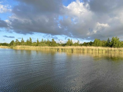 23-7-24-foto-water-en-riet